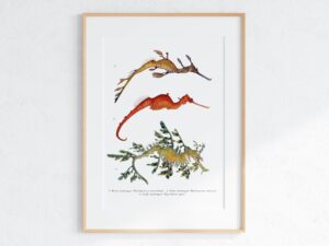 Sea Dragons Poster
