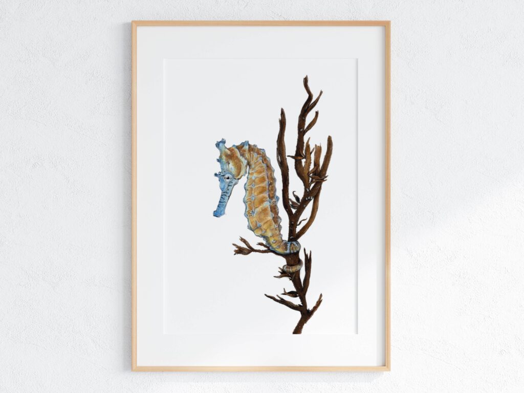 Print Western Australian Seahorse A4 - Pete Cromer main image 1